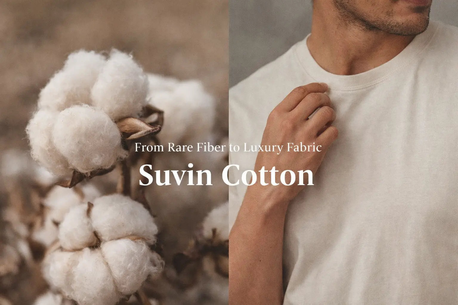 Suvin Cotton – The Highest Quality Cotton in the World | NooBrand 