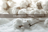 Organic Cotton T-Shirt