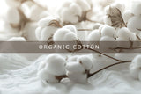 buy organic cotton T-shirts online